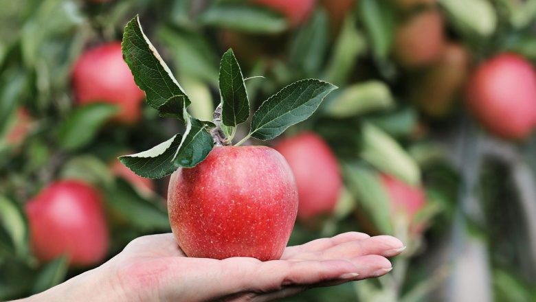 Hur Mycket Väger ett Äpple?