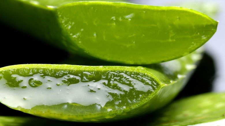 Kan man Äta Aloe Vera?