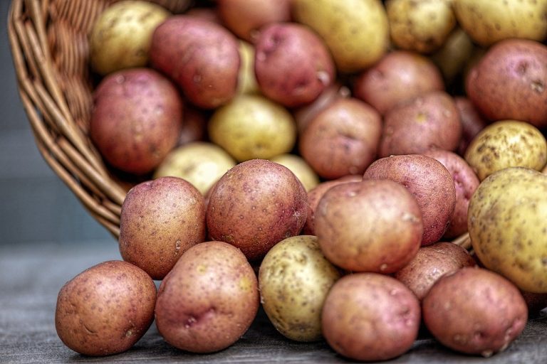 Hur Ska man Förvara Potatis? Här är Svaret! - Foodtrotter