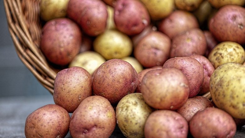 Hur Ska man Förvara Potatis? Här är Svaret!