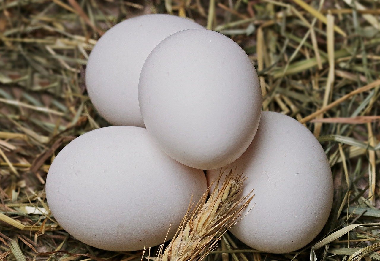 Näringsvärde Ägg – Näringsinnehåll [Lista och Fakta] - Foodtrotter
