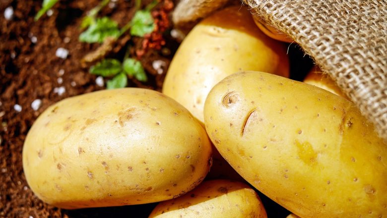 Näringsvärde i Potatis – Näringsinnehåll [Lista och Fakta]