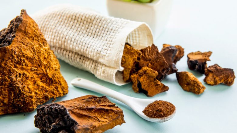 Medicinska svampar: 5 bästa typerna för hälsa, immunitet och välbefinnande