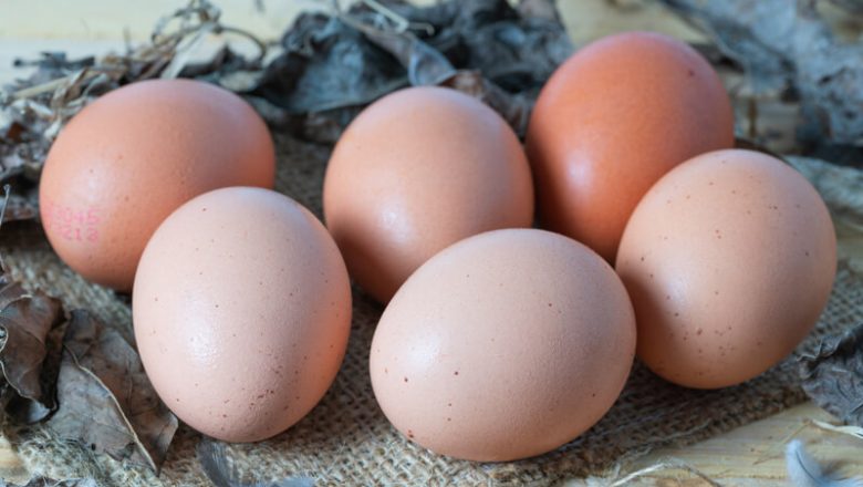 Salmonellaförgiftning: Symtom, vanliga orsaker och matsäkerhetstips