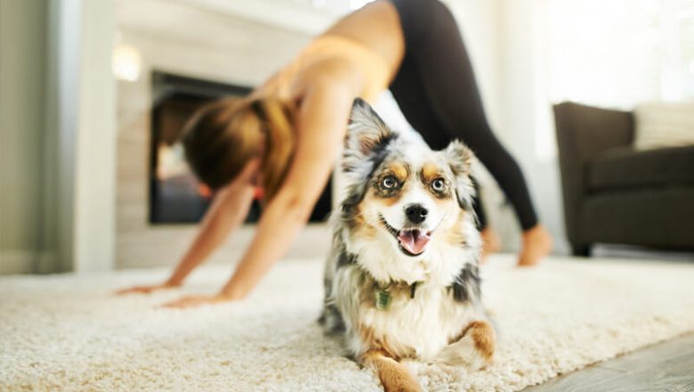 De bästa yogaapparna och onlineprogrammen att göra hemma under självisolering