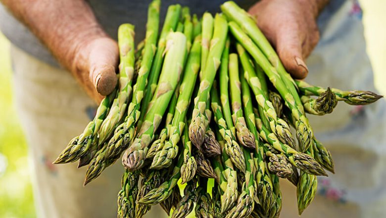 Säsongens frukt och grönsaker: Bästa produkterna att köpa och äta på våren