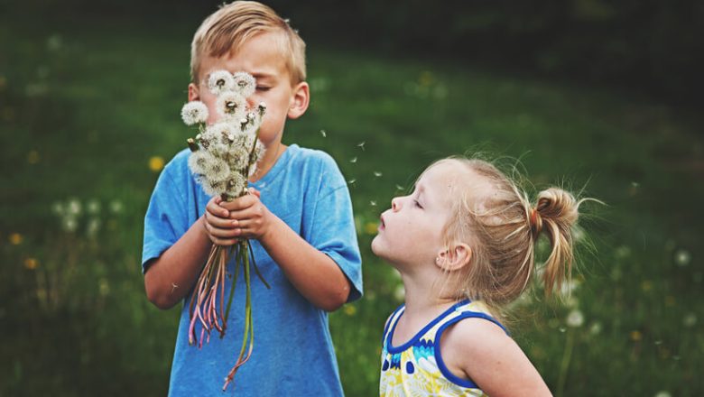 Höfebersäsong: Experttips för att hantera pollen och allergier