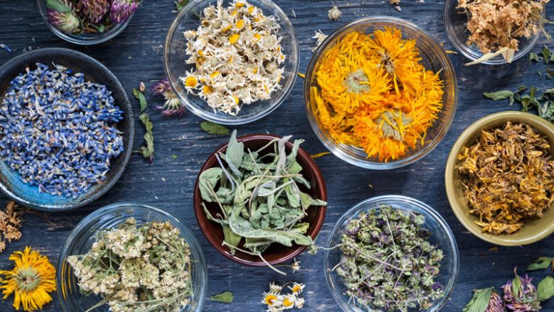 Läkeväxter guide: Hur man använder kava, ashwagandha, kamomill, ingefära