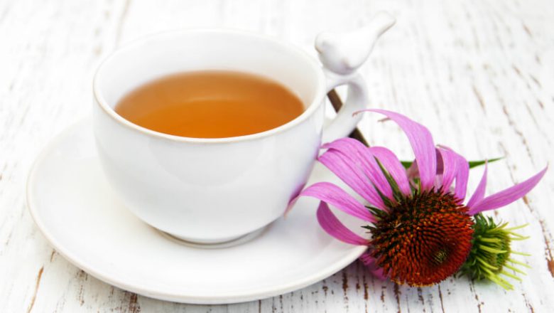 Hur hjälper echinacea i kampen mot förkylningar och infektioner?