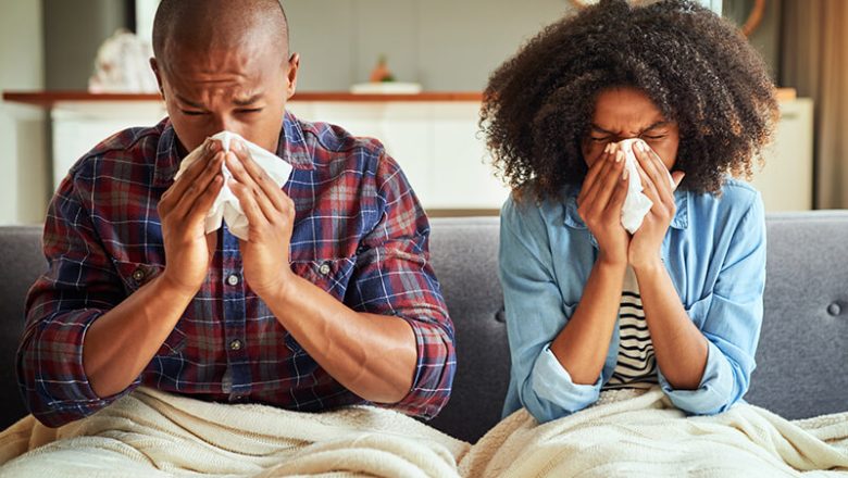De hemliga vapnets örter som hjälper till att förvisa insekter denna influensasäsong