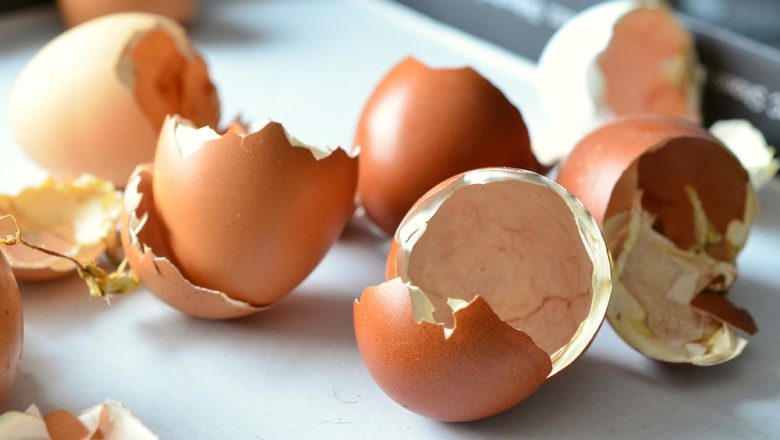 Kan man äta äggskal? –  vanliga frågor