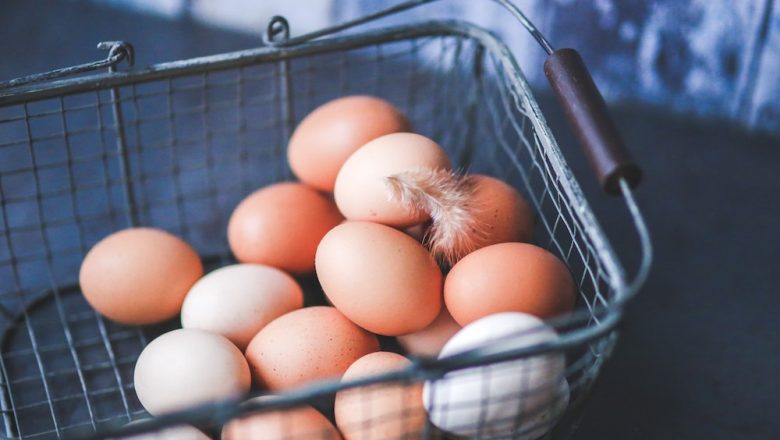ägg varje dag? – vanliga frågor