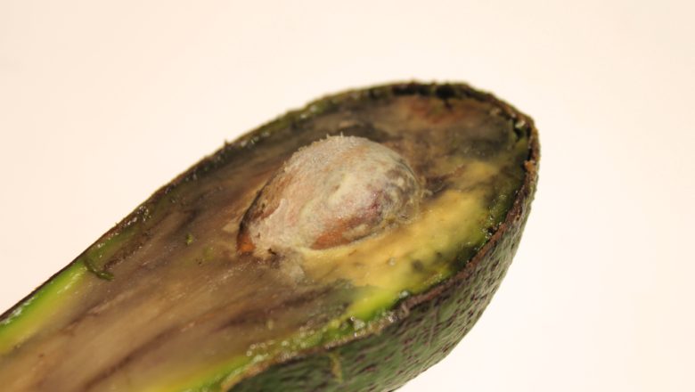 brun avokado? – vanliga frågor