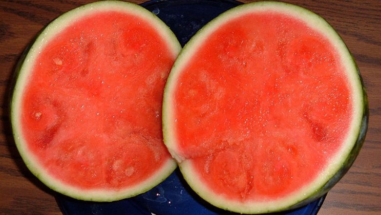 Är alla fröfria och Kärnfria frukter genetiskt modifierade (GMO)?