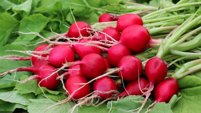 Är en vegetarisk kost billigare?  – Foodtrotter.com