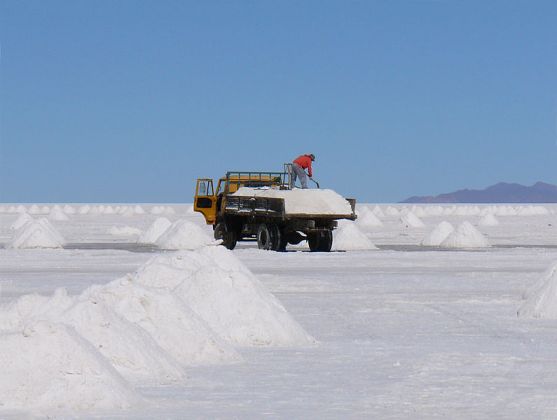 Skillnaden mellan havssalt och vanligt salt: Är havssalt verkligen hälsosammare?