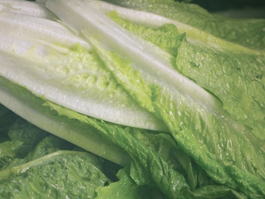 Är det sant att du inte ska skära sallad med en kniv?