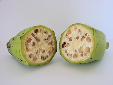 10 överraskande fakta om bananer