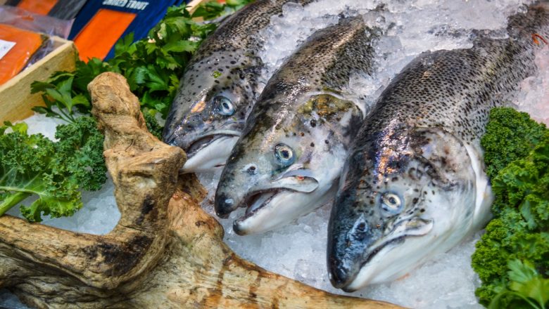 Kan du frysa en fisk och väcka den till liv igen?