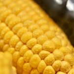 🌽The Pop Secret: How Freeze-Dried Corn is Taking the Snack World by Storm!🌽