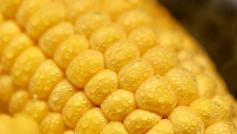🌽The Pop Secret: How Freeze-Dried Corn is Taking the Snack World by Storm!🌽